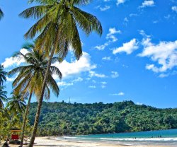 Jan’s Garden Sanctuary, Trinidad, Port-of-Spain